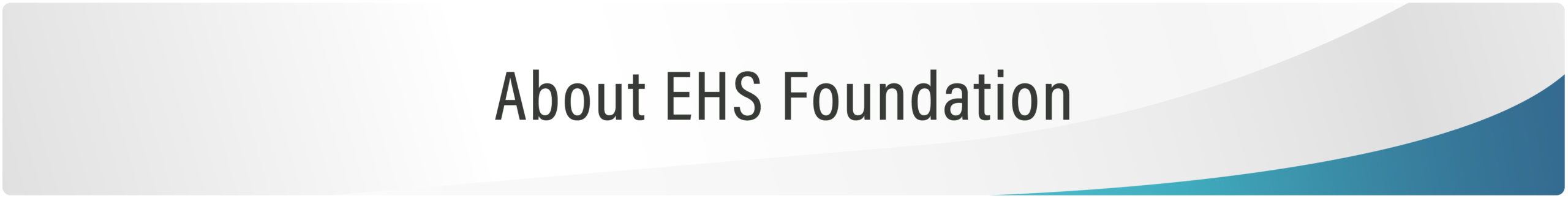 about ehs foundation 